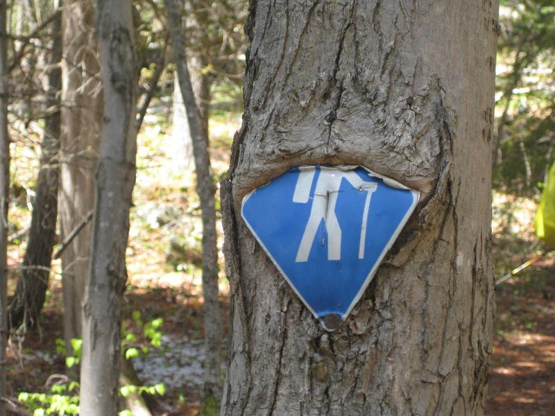 Schild in Baum