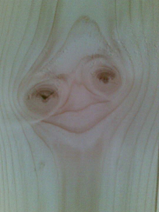 Gesicht in Holz