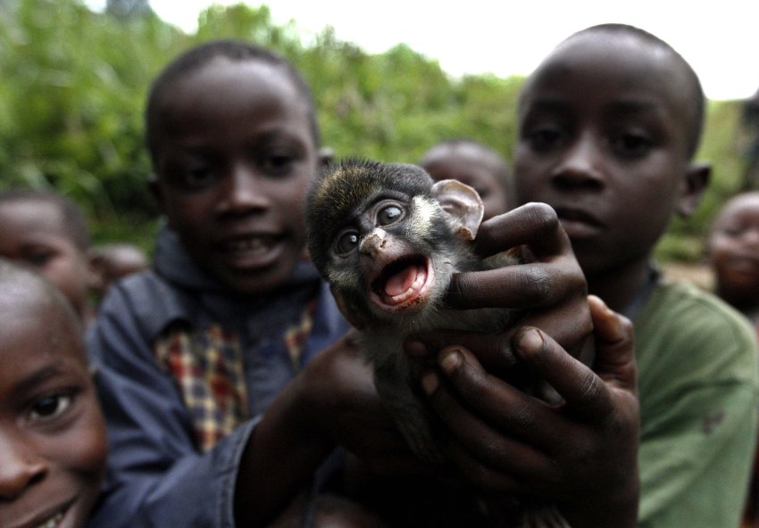 Kinder mit Affenbaby
