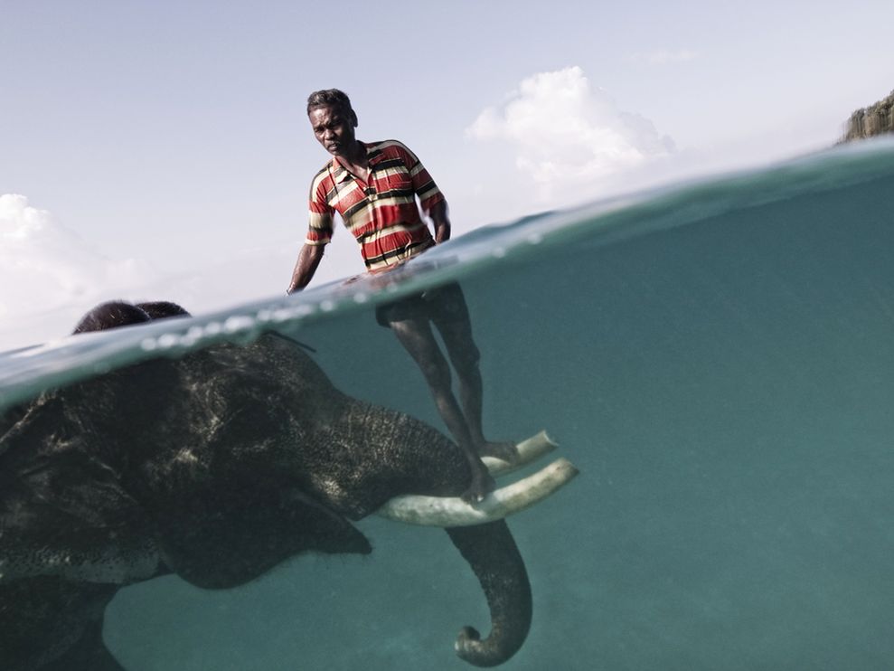 Mahut badet mit seinem Elefant