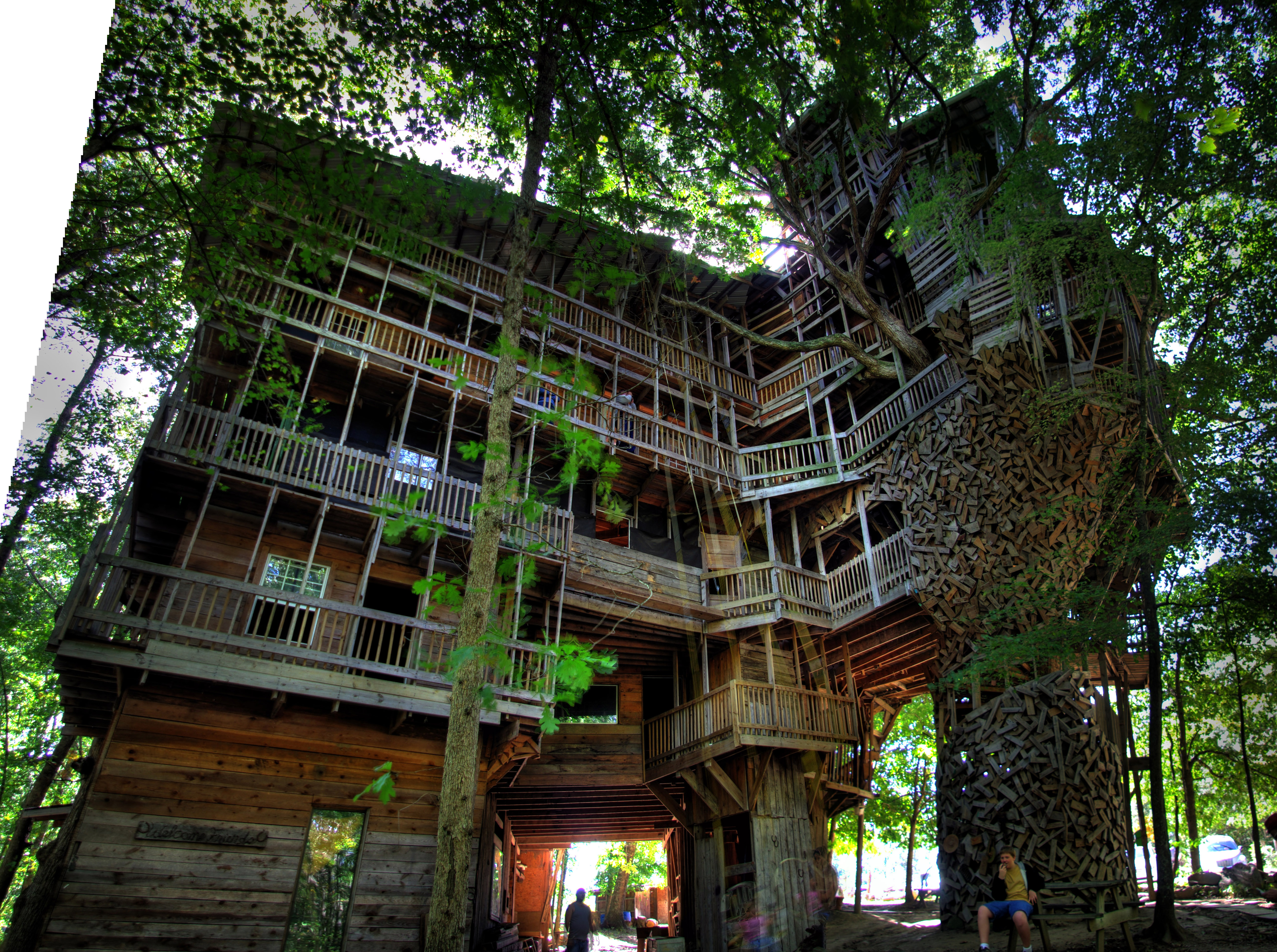 Жилой дом на дереве